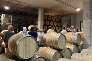 Mallorca-vinoplevelse ved solnedgang