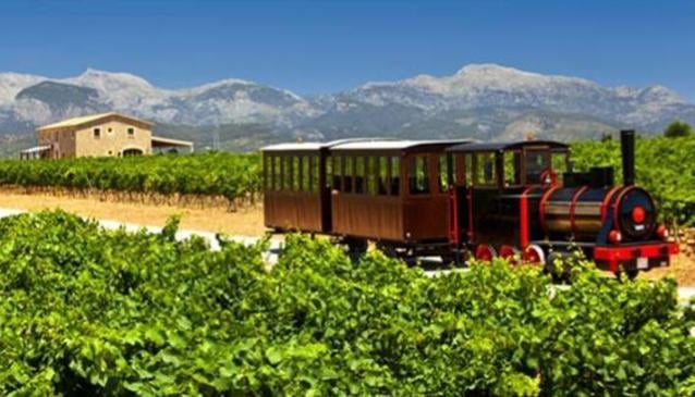 Mallorca Wine Express
