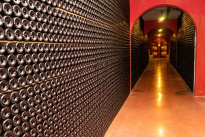 Mallorca: Wine Tour of the Island Center