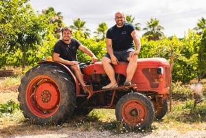 Majorque : visite d'une cave et dégustation de vins, avec des produits majorquins