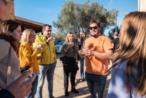 Majorque : visite d'une cave et dégustation de vins, avec des produits majorquins