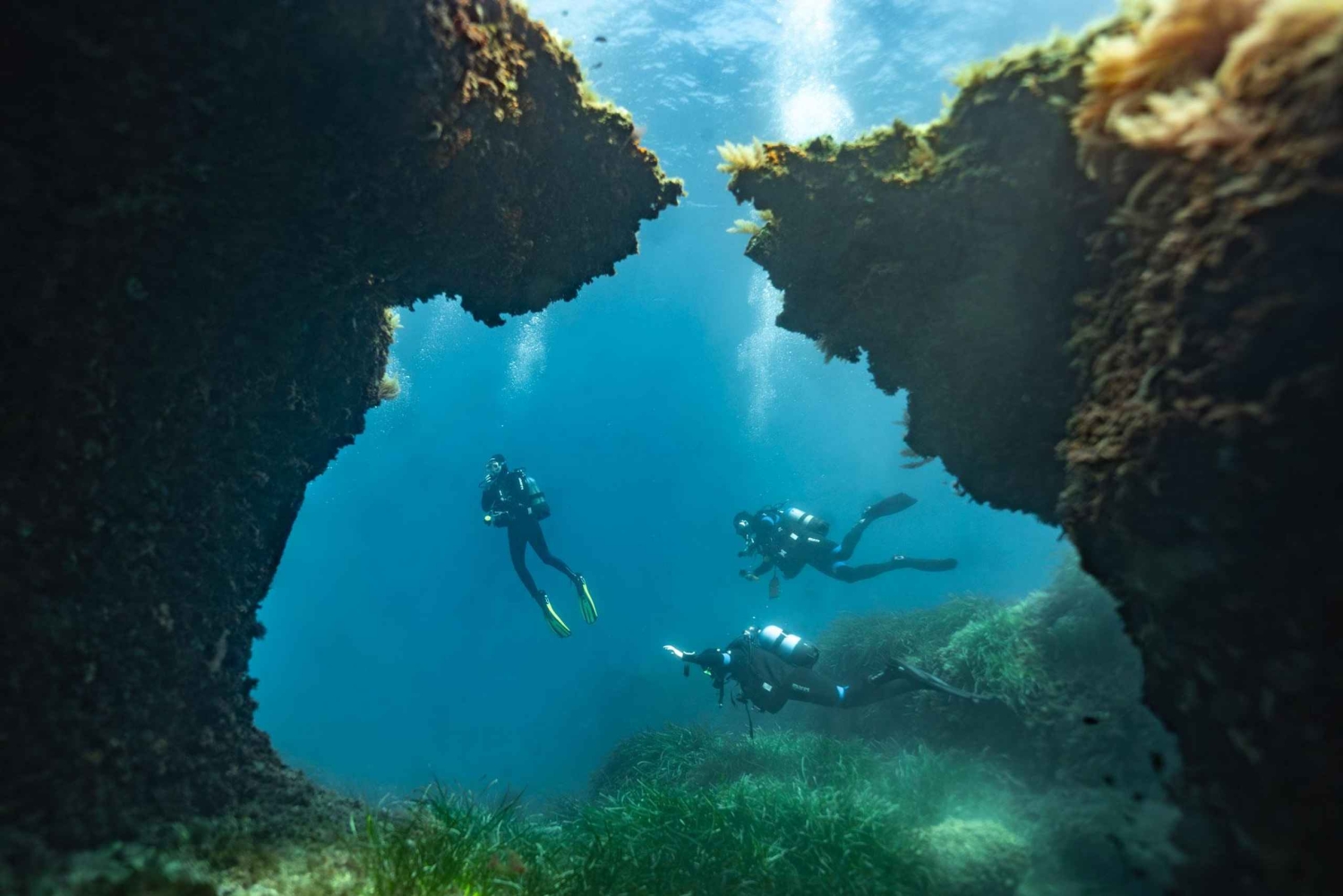 マヨルカ島：冬のダイビングアドベンチャー（認定ダイバーの方へ）