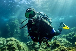 マヨルカ島：冬のダイビングアドベンチャー（認定ダイバーの方へ）