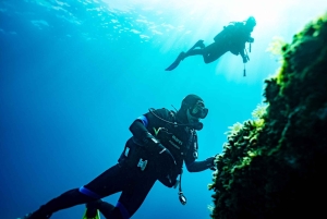 マヨルカ島：冬のダイビングアドベンチャー（認定ダイバーの方へ）