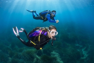 Mallorca: XL Discover Scuba Diving from the beach
