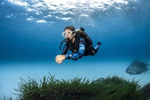 Majorque : XL Découvrez la plongée sous-marine depuis la plage