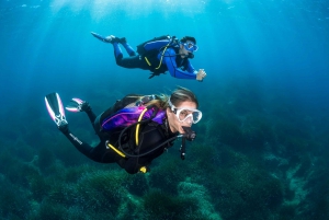 Majorque : XL Découvrez la plongée sous-marine depuis la plage