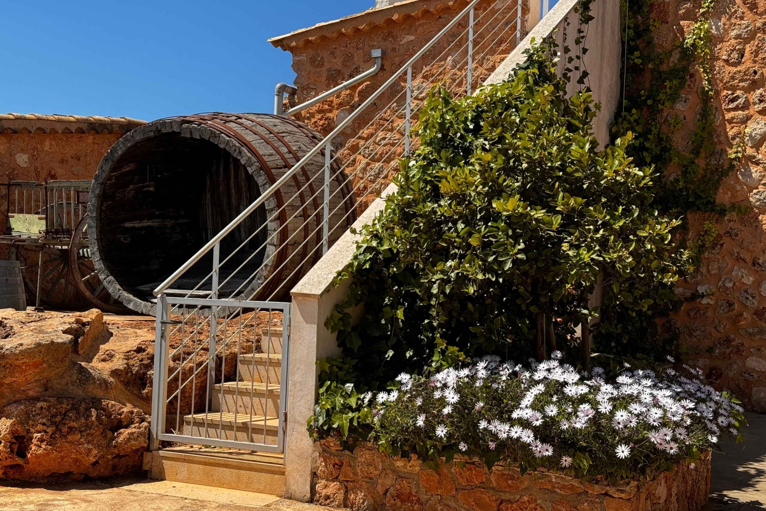 Cata de vino en una auténtica bodega familiar mallorquina
