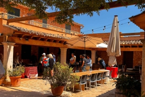 Cata de vino en una auténtica bodega familiar mallorquina