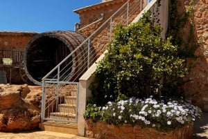 Cata de vino en una auténtica bodega familiar mallorquina