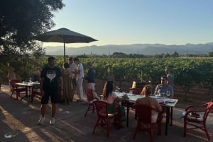 Cata de vino en una auténtica bodega familiar mallorquina