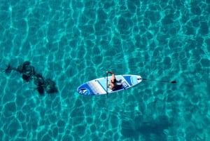Menorca: Utflukt med privat båt