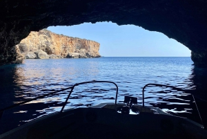 Menorca: Utflykt med privat båt