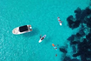 Menorca: Utflukt med privat båt