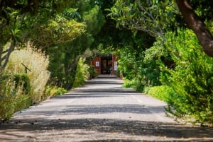 MUCBO | Jardí Botànic de Sóller - Museu Balear de Ciències Naturals (Balearenes naturvitenskapelige museum)