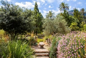 MUCBO | Jardí Botànic de Sóller - Museu Balear de Ciències Naturals (Balearenes naturvitenskapelige museum)