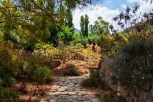 MUCBO | Jardí Botànic de Sóller - Museu Balear de Ciències Naturals (Balearenes naturvitenskapelige museum)