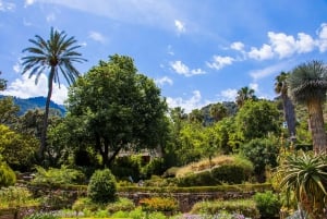 MUCBO | Jardí Botànic de Sóller - Museu Balear de Ciències Naturals (Balearenes naturvitenskapelige museum)