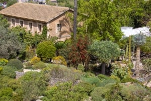 MUCBO | Jardí Botànic de Sóller - Museu Balear de Ciències Naturals (Balearenes naturvitenskapelige museum)