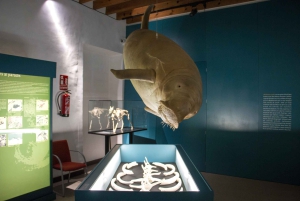 MUCBO | Jardí Botànic de Sóller - Balearic Museum of Natural Sciences