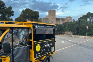 Novità a Palma! Tour in Tuk Tuk: scopri la città in modo unico!