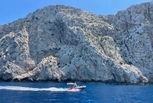 Nord de Majorque : Excursion en bateau au Cap Formentor