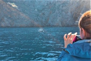 Norte de Mallorca: tour en barco al Cap Formentor