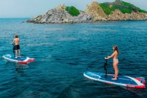 NY ELEKTRISK PADLE-SURFING I SANTA PONSA