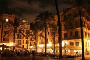 Old Town Tour of Palma and Tapas Bar by Night