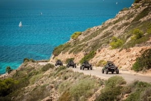 Excursion en buggy sur route à Majorque
