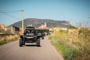 Road Buggy tour Mallorca