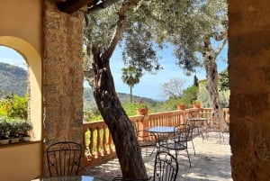 По следам Миро на Майорке