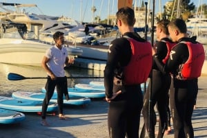 Paddle surf excursion