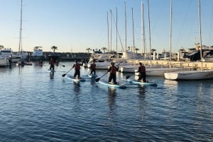 Paddle surf excursion