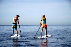 Paddle surf excursion