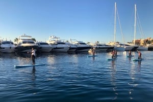 Paddle surf excursion