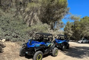 Paguera: 2 Hour Buggy Tour