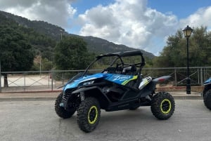 Paguera: 2 Hour Buggy Tour