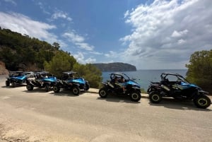 Paguera: 2 Hour Buggy Tour