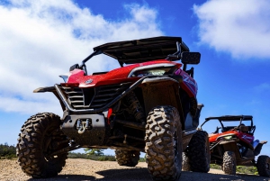 Paguera: 4 hour Buggy tour