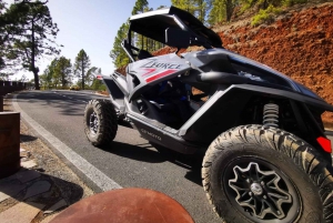 Paguera: 4 hour Buggy tour