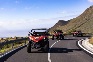 Paguera: 4 hour Buggy tour
