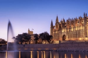 Palma: 2-stündige Katamaranfahrt bei Sonnenuntergang mit Getränken