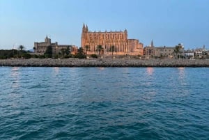 Palma: 2-timmars kryssning med katamaran i solnedgången med dryck