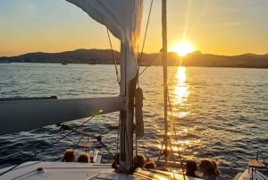 Palma: 2-timmars kryssning med katamaran i solnedgången med dryck