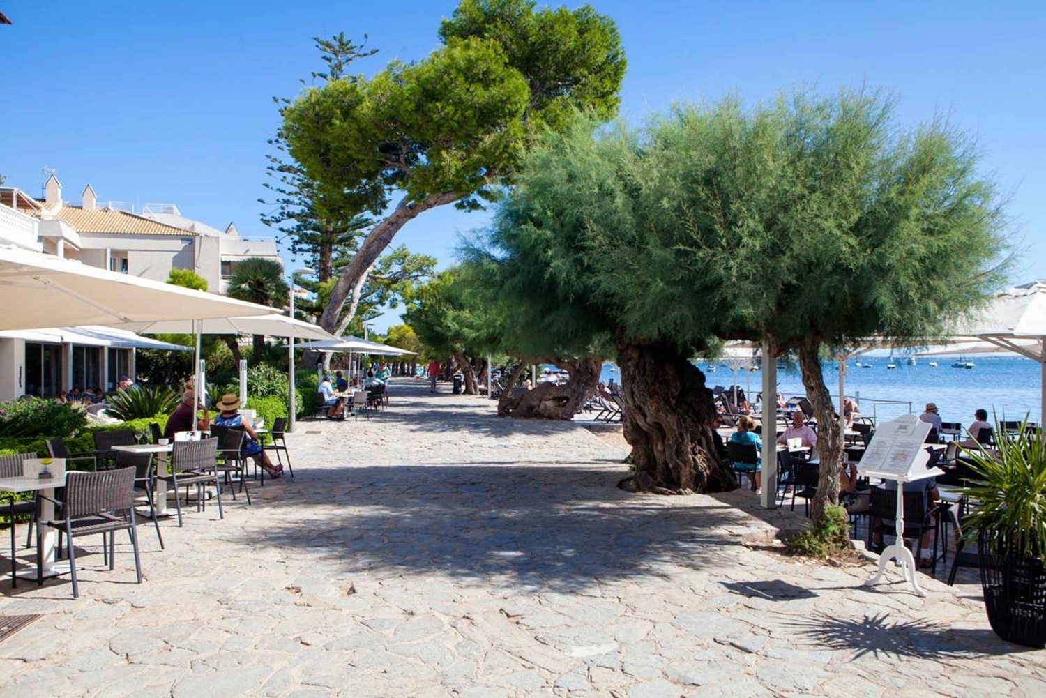 Palma: Alcúdia, Port de Pollença i Cap de Formentor — wycieczka 1-dniowa
