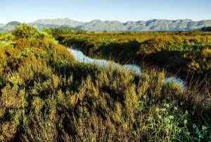 Пальма: однодневная поездка в Алькудию, Порт-де-Полленса и Кап-де-Форментор