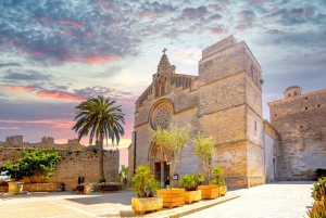 Palma: Alcúdia, Port de Pollença i Cap de Formentor — wycieczka 1-dniowa