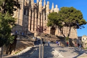 Palma: Gatelangsvandring i gamlebyen med egen guide