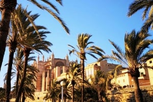 Palma: Gamla stans gränder Självguidad upptäcktsfärd